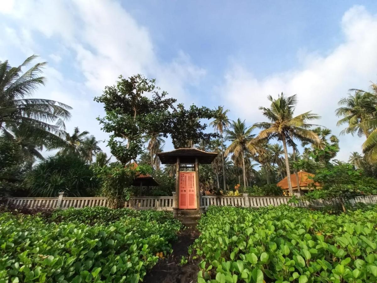 Tianyar Bali North Beach B&B מראה חיצוני תמונה